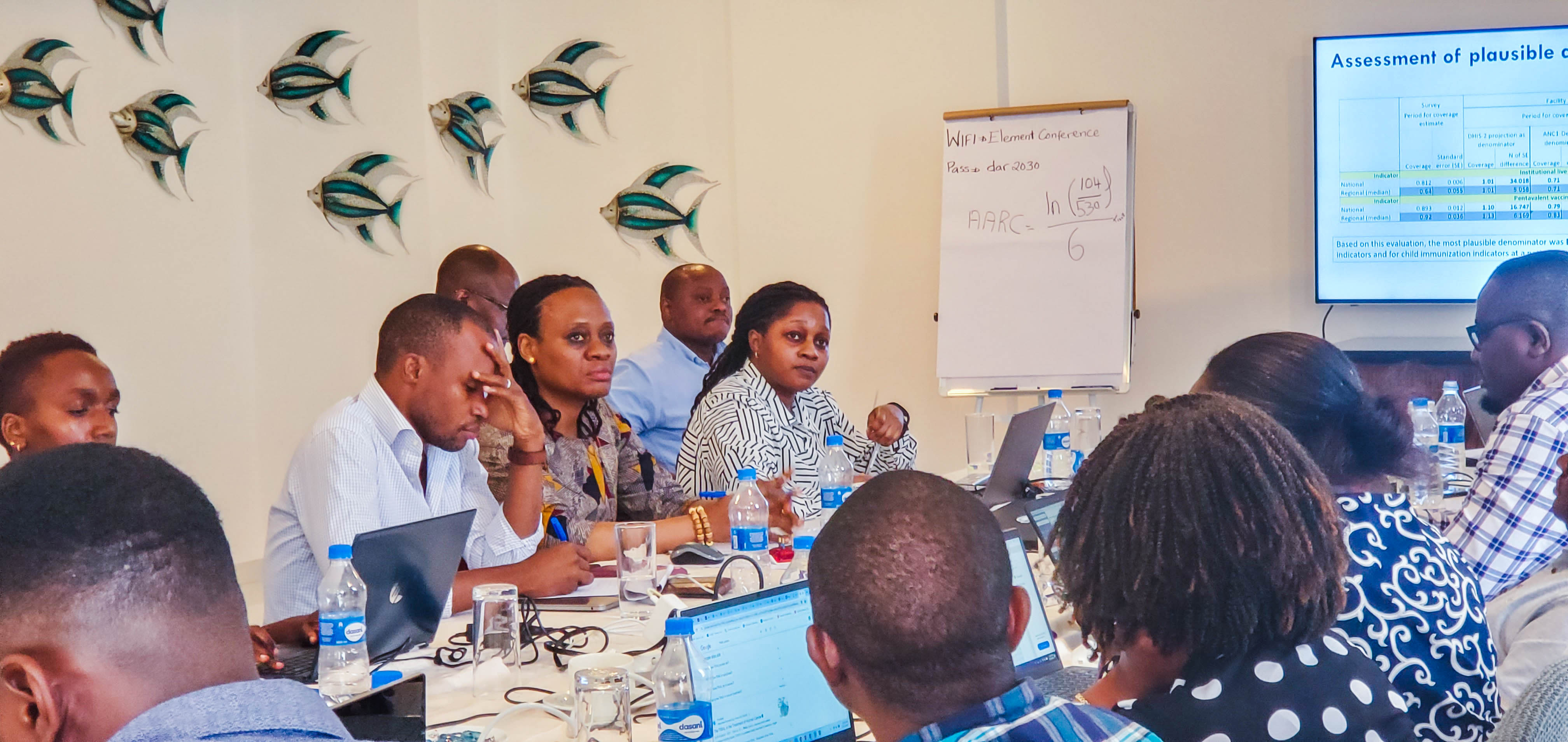 WORKSHOP:  Understanding data for improved maternal health interventions