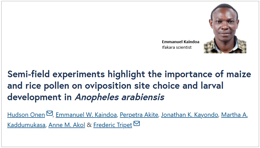 MALARIA CONTROL: Crop pollen linked to increased mosquito reproduction