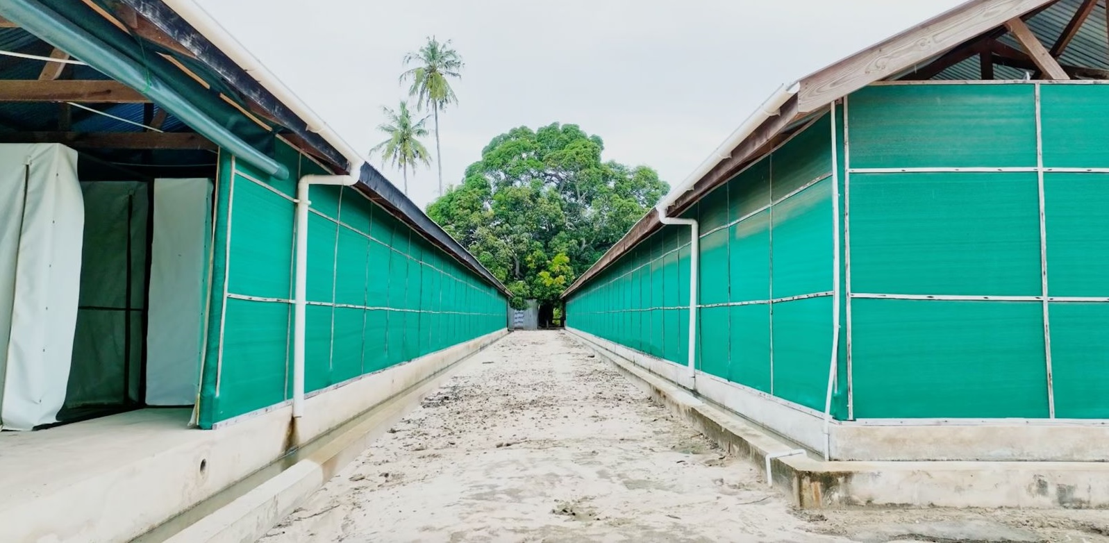 NEW PROJECT: Technology to combat mosquito resistance on the drawing board
