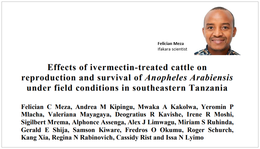 INNOVATION: Ivermectin-treated cattle could help kill malaria-carrying mosquitoes