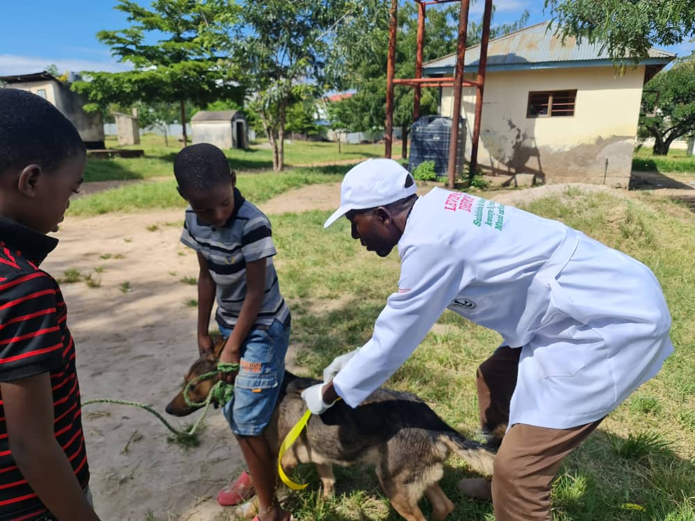 RABIES: Mass dog vaccination campaign gets underway in Tabora
