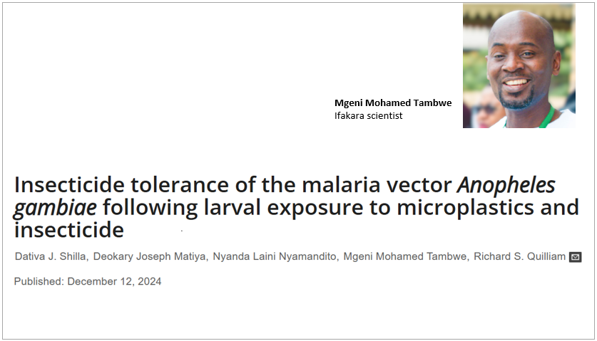 MALARIA: Microplastics linked to rising insecticide resistance in mosquitoes