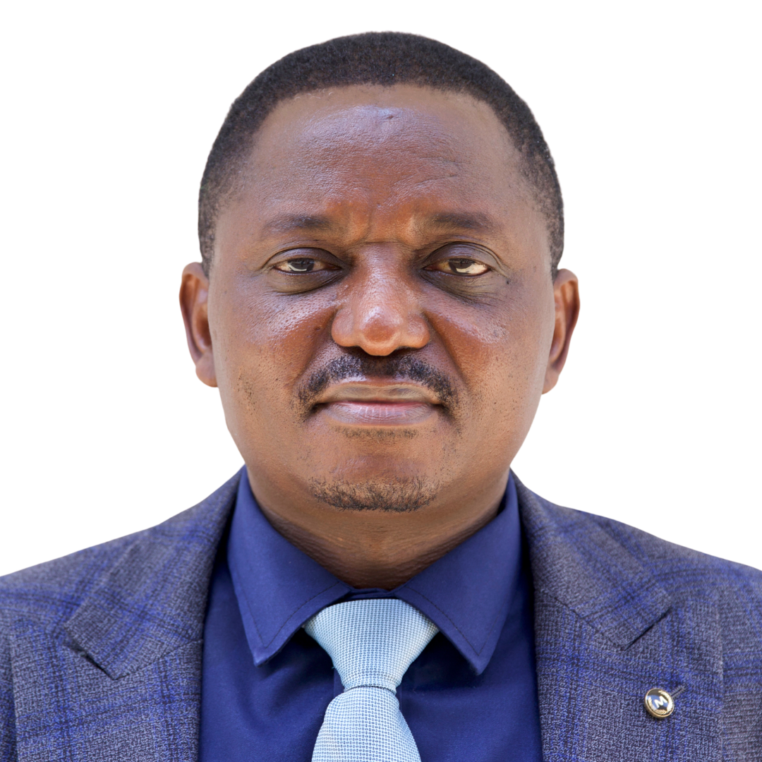 Nicodem Govella (Ph.D, Professor)