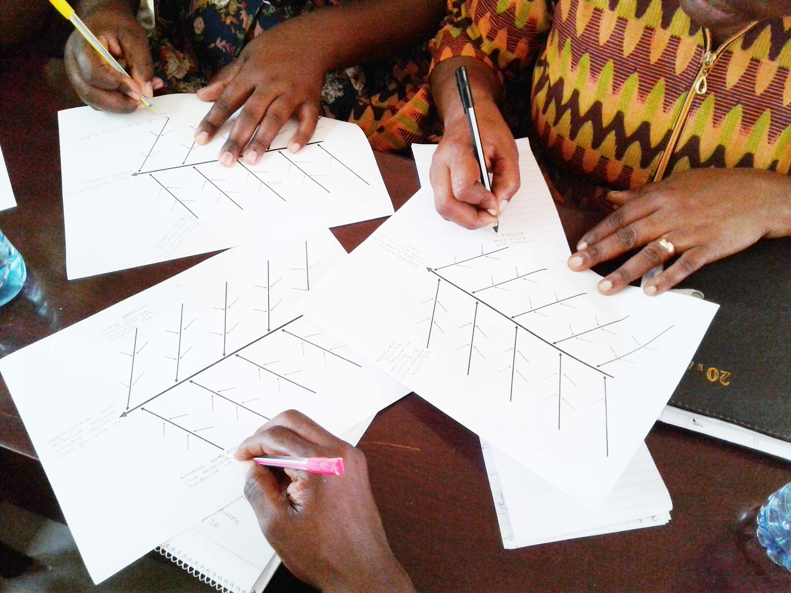 IHI project trains public health champions in Mtwara