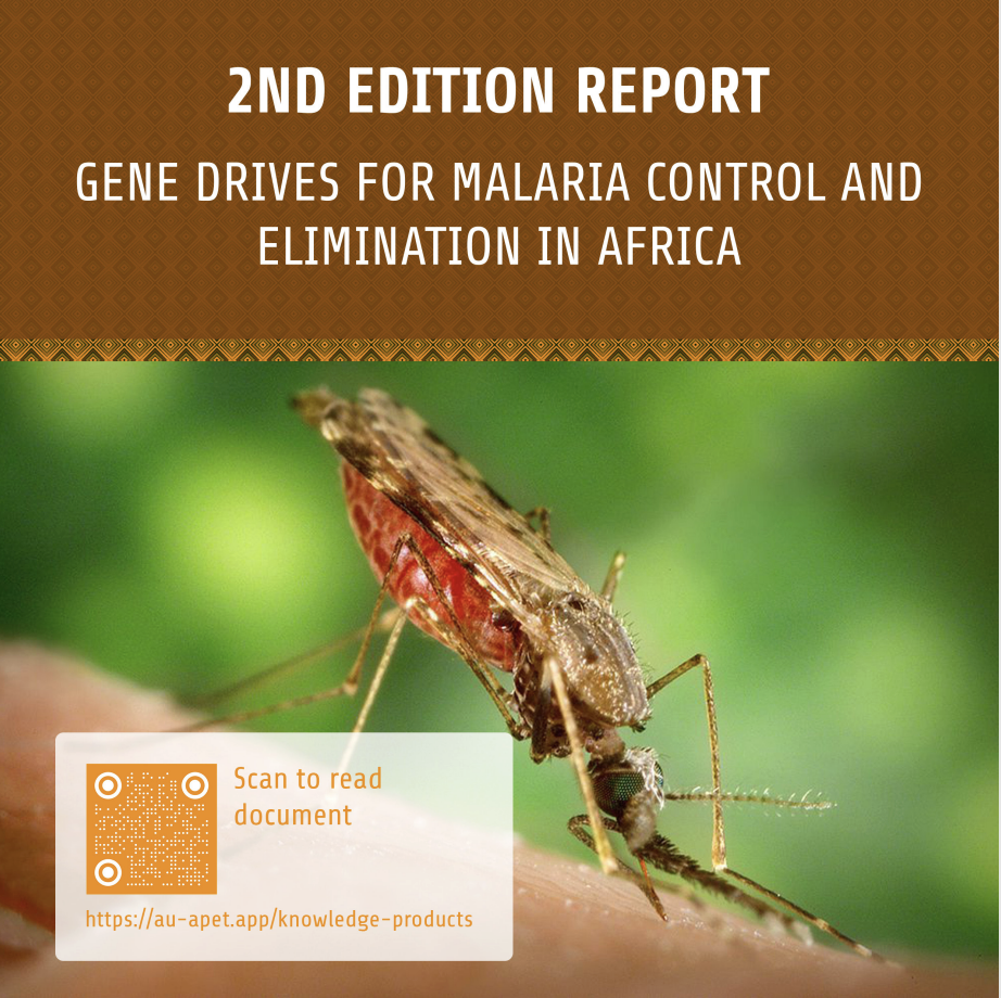 IMPACT: Ifakara contributes to report on gene drives in Africa