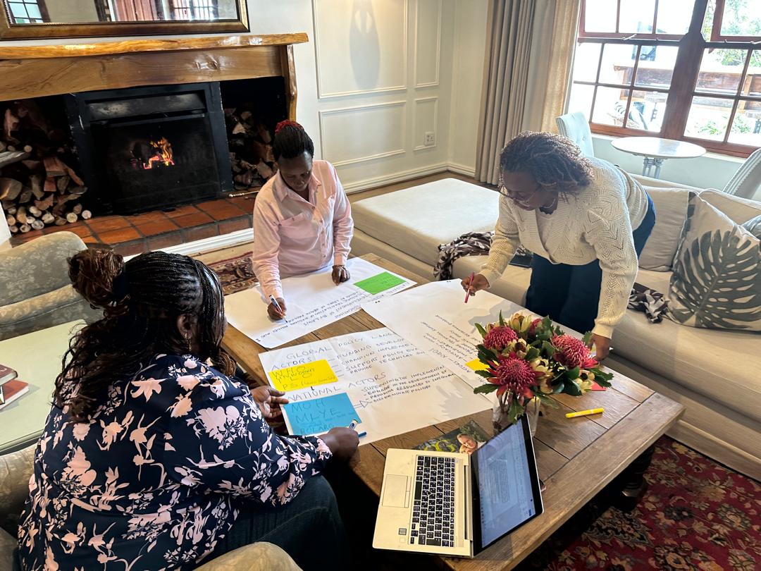 WORKSHOP: Ifakara participates in IMARISHA policy analysis workshop in South Africa
