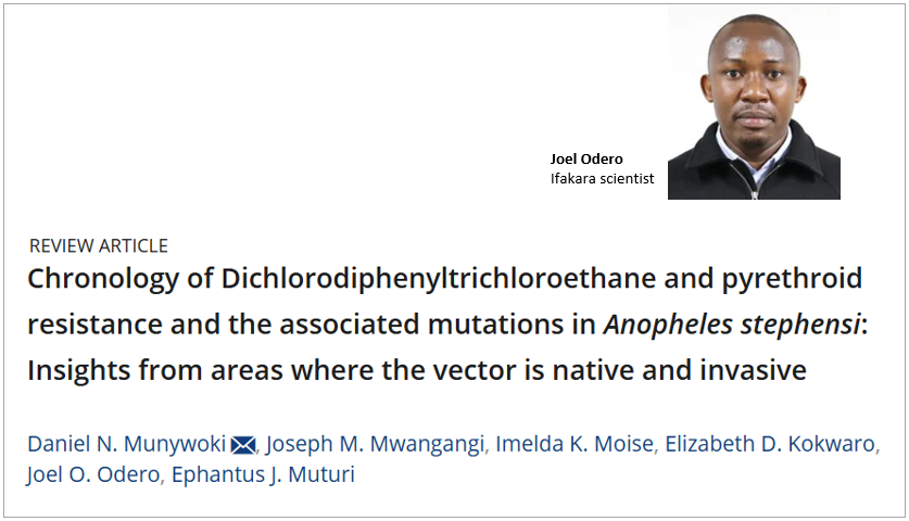 REVIEW: A novel malaria mosquito is evolving to survive insecticides