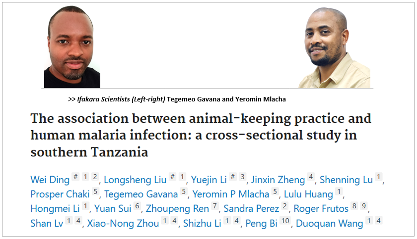MALARIA & LIVESTOCK: Poultry keeping linked to higher malaria risk in southern Tanzania