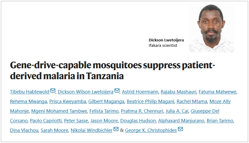 BREAKTHROUGH: Tanzania scientists develop mosquitoes that cannot transmit malaria